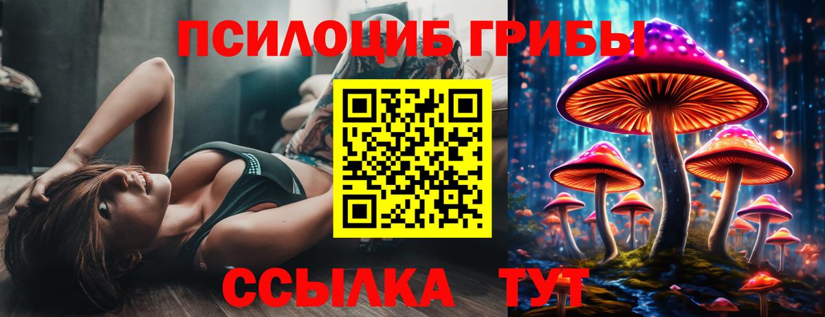 Ярцево  Псилоцибиновые грибы прущие грибы  Вход с VPN 